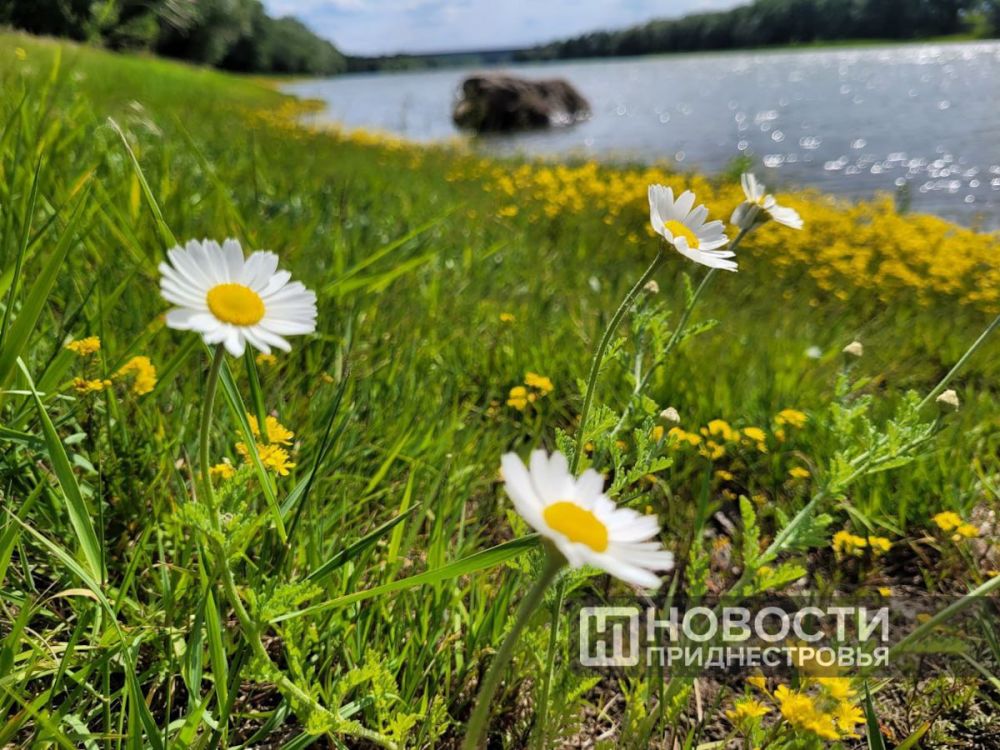 ����������� ���� ����� � �������� ������ �����