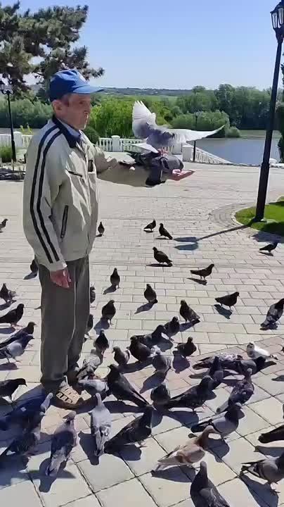    .   