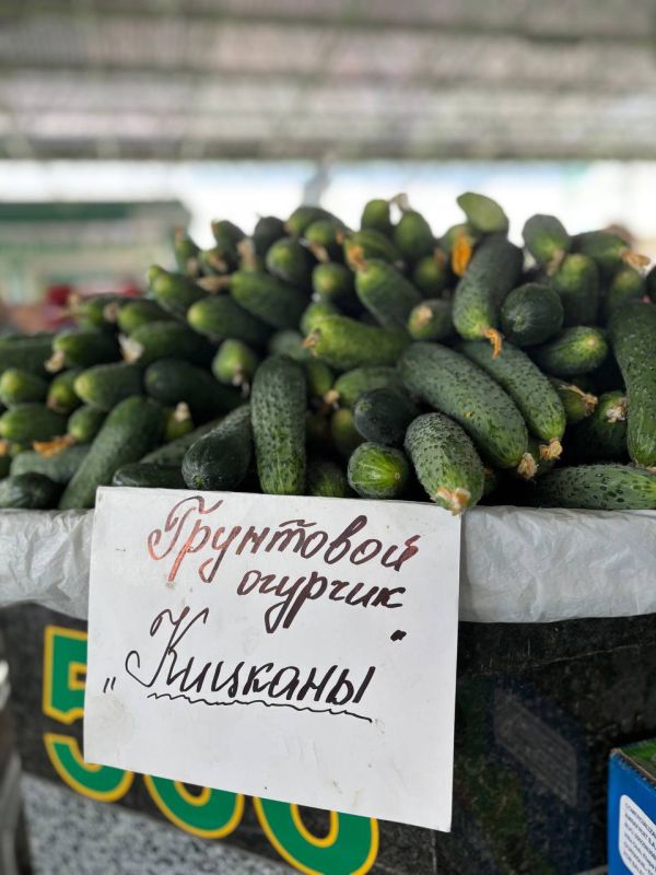 ���� �� ������ ����� � ���������: