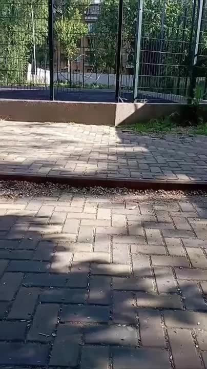 На спортплощадке в Днестровске сломали ограждение