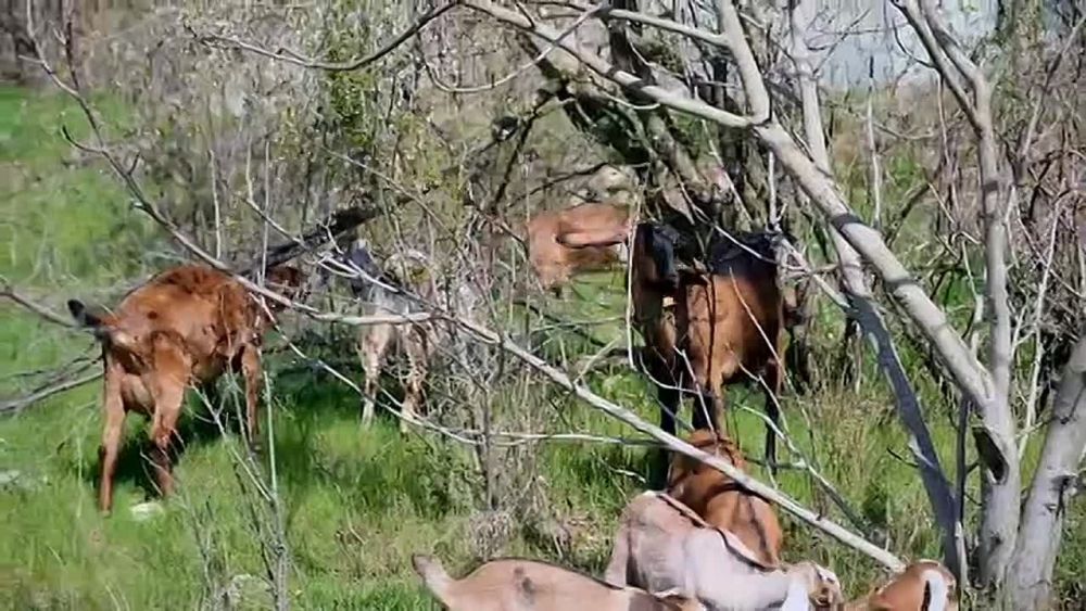 Уже скоро в рубрике #ЛицаГУпЧС