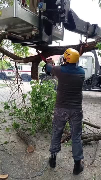    .        