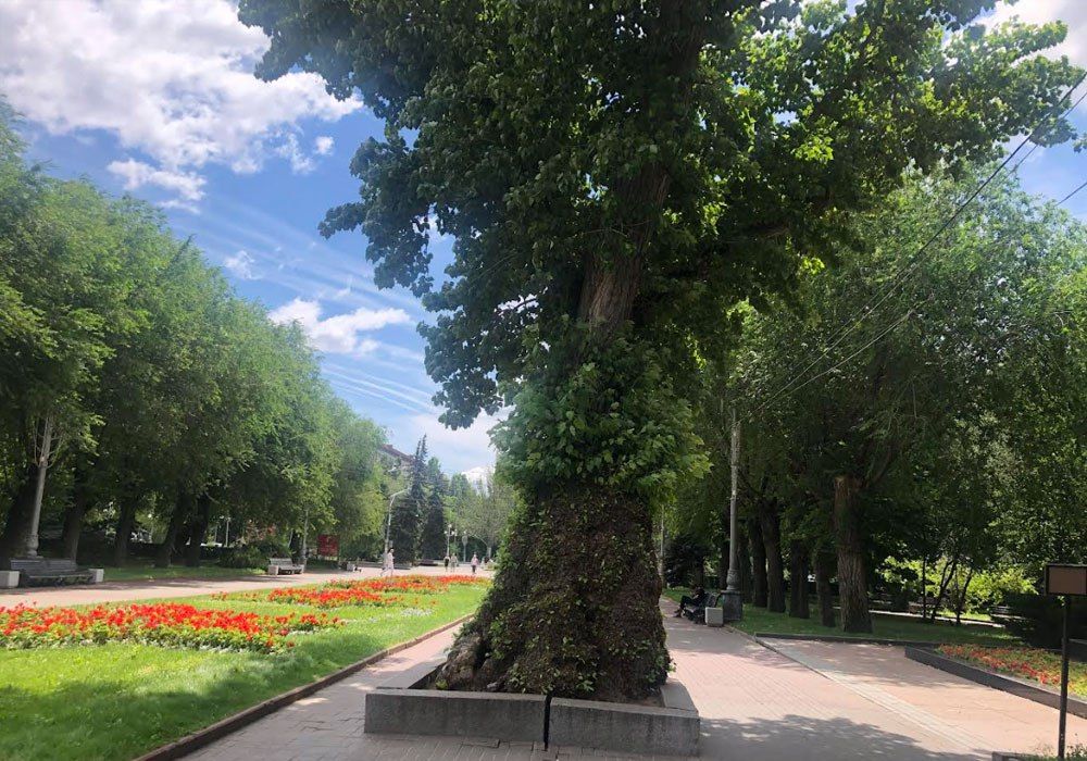 ��� ������������� ������ ������