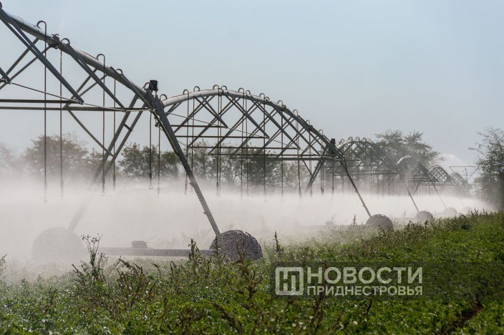 ������������� ��������� �������������� ��������� �������� ��� ��������