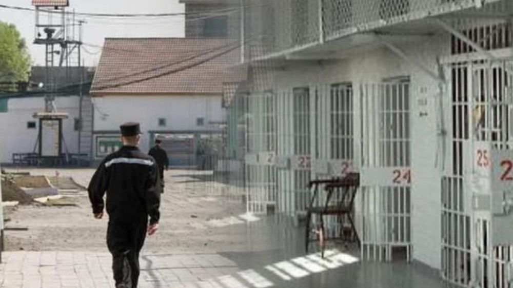 ���� ����������� ������� �� ������ � ��������: ������ ��� �������