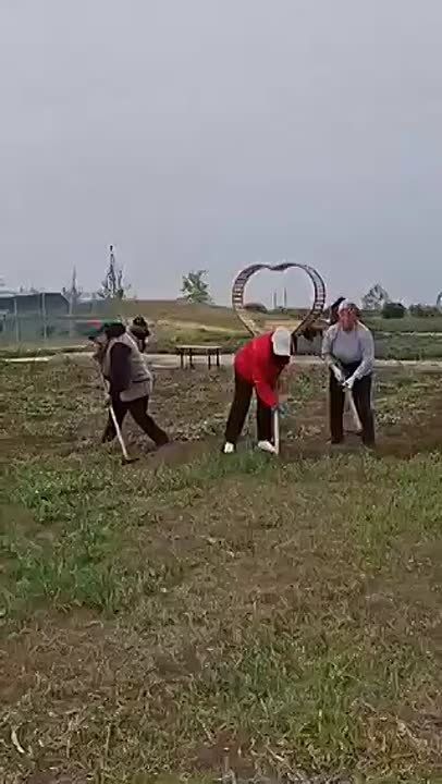    .           ,        ,        