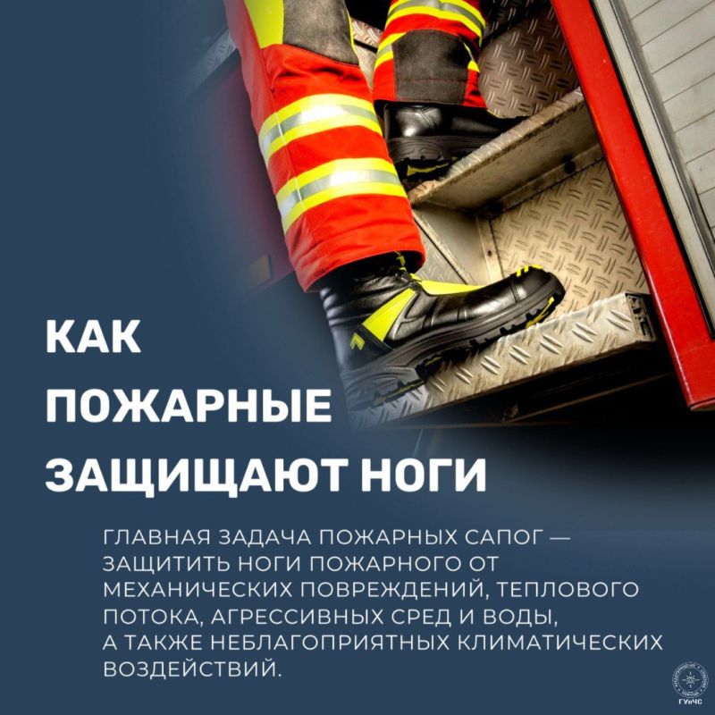 #������������: �����, ������� �������: ��� �������� ���� ��������