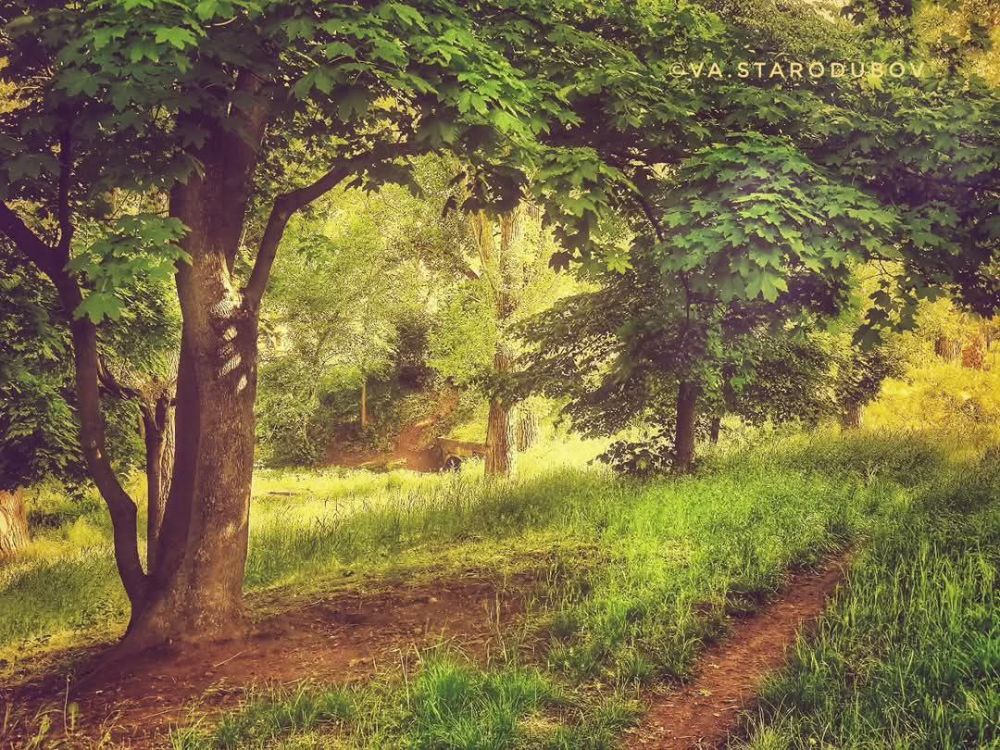 Ҹ���� ���� � ������ ������� ���