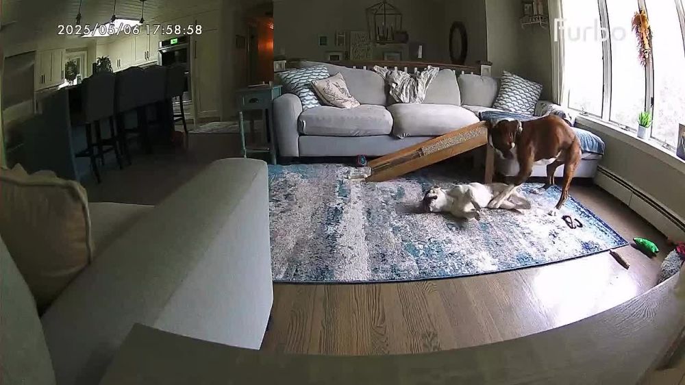 ������� ����� ��������: ������ ���� �������� �� ����� �������� ���������