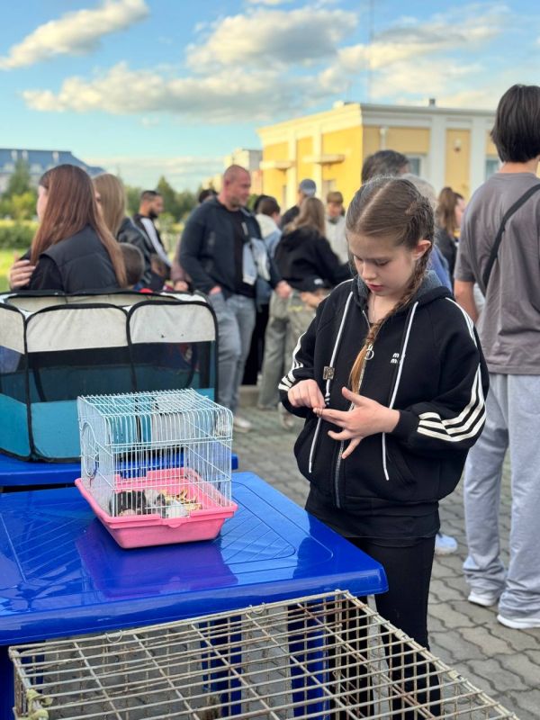 ��� ����������� � ������� ���������� ��������