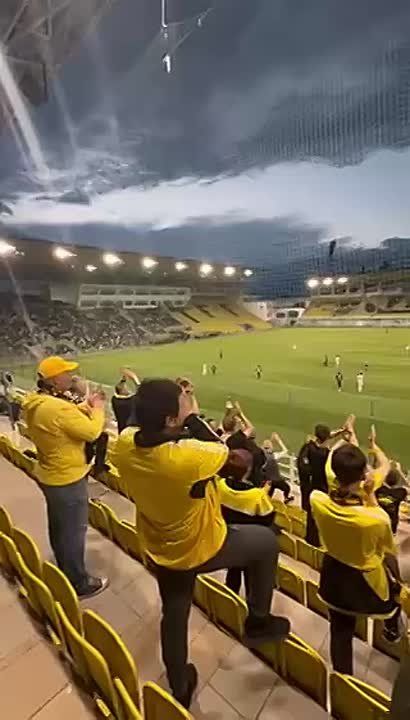 ������ ���������