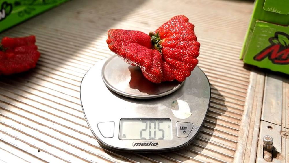 �� ����� ��� ��������� �������� ���������� ��������