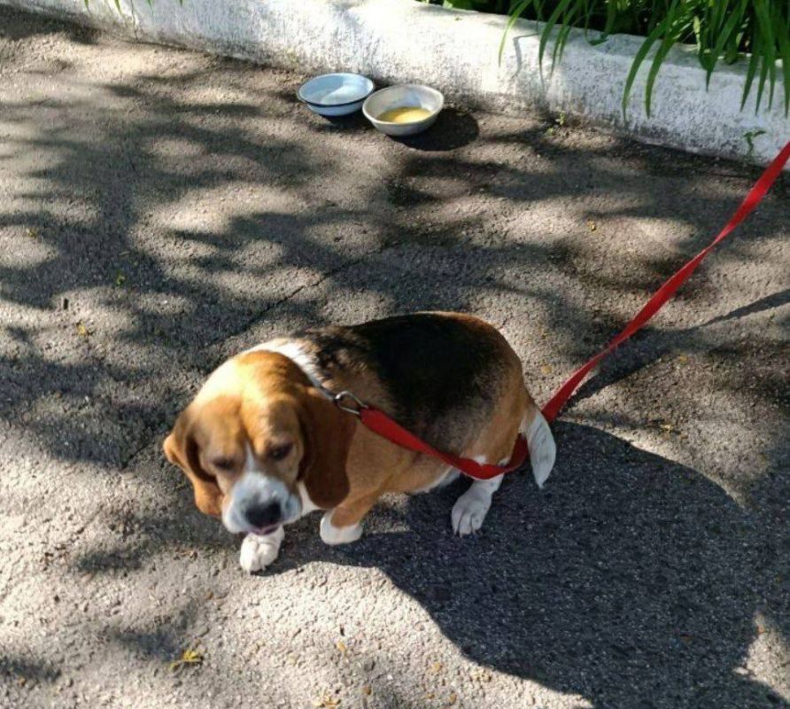 � �������� ������� ���� ���������� �����