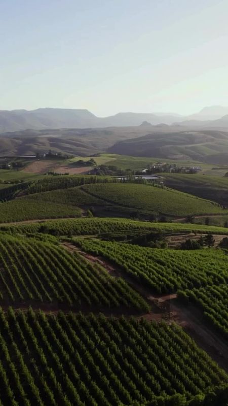 � ������� ���� �����, ������� ����� ���� ���� ������ ���� � ������� 4 ���