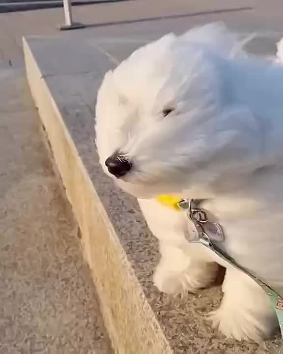 ������������� ������� � ������ ����� � ��������� ����� � ������ �� 15 �/�