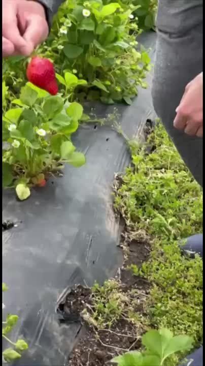 � �������� ����� ������ �������� ��������