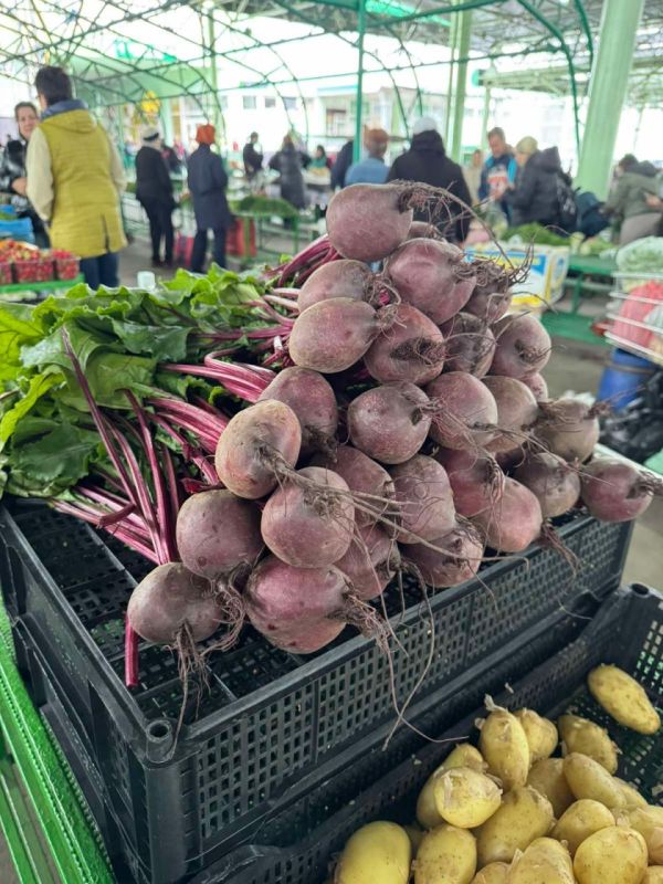 ������� ������ �� ����� �� 10 ������ �� ������