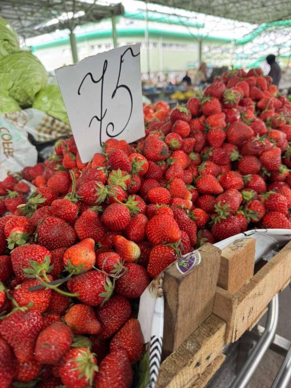 �������� ���� 75 ������