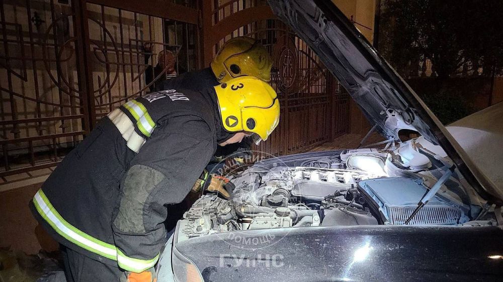 ������������ �� �����: � ��������� �������� ������ ���������� ����������