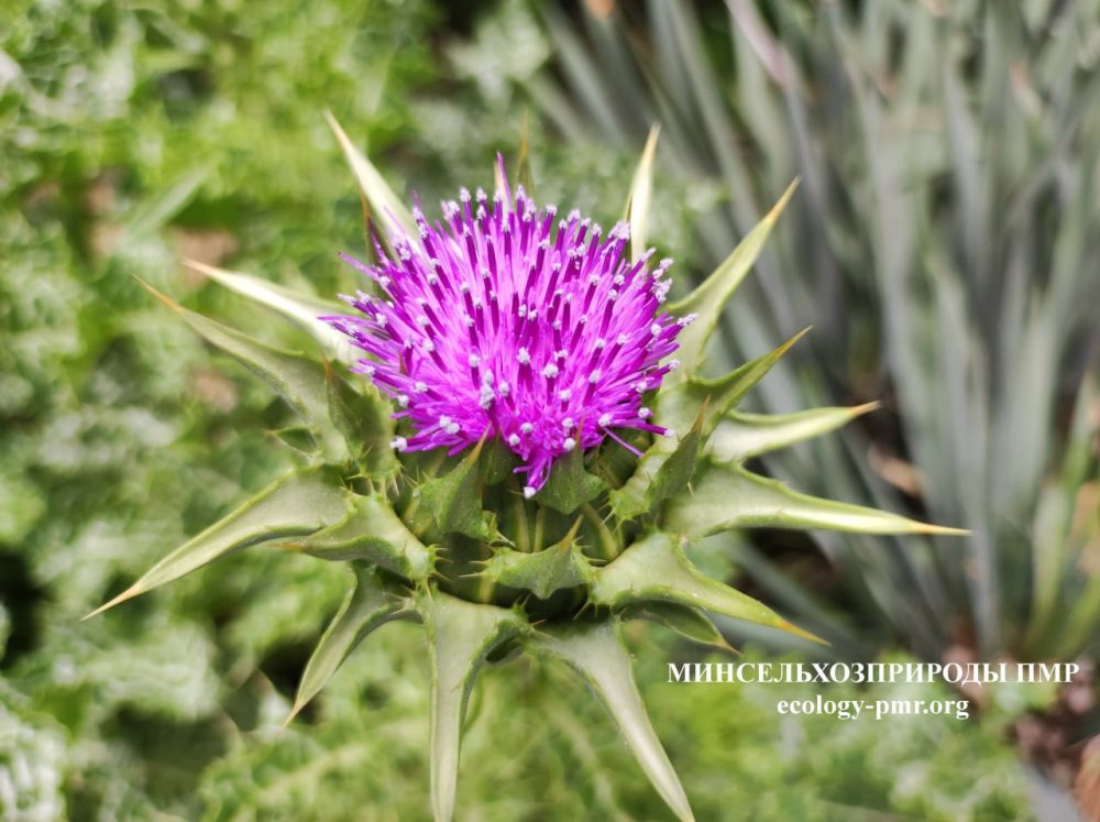 ������� ����!. ������� ������ �� �������, 20 ���