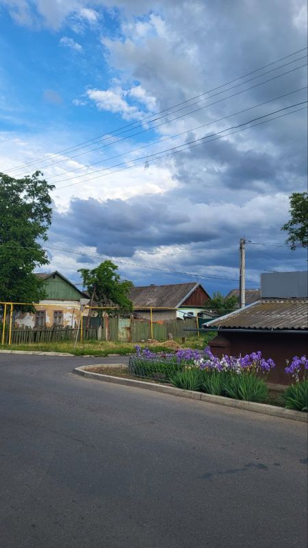 ���� ��� ����������