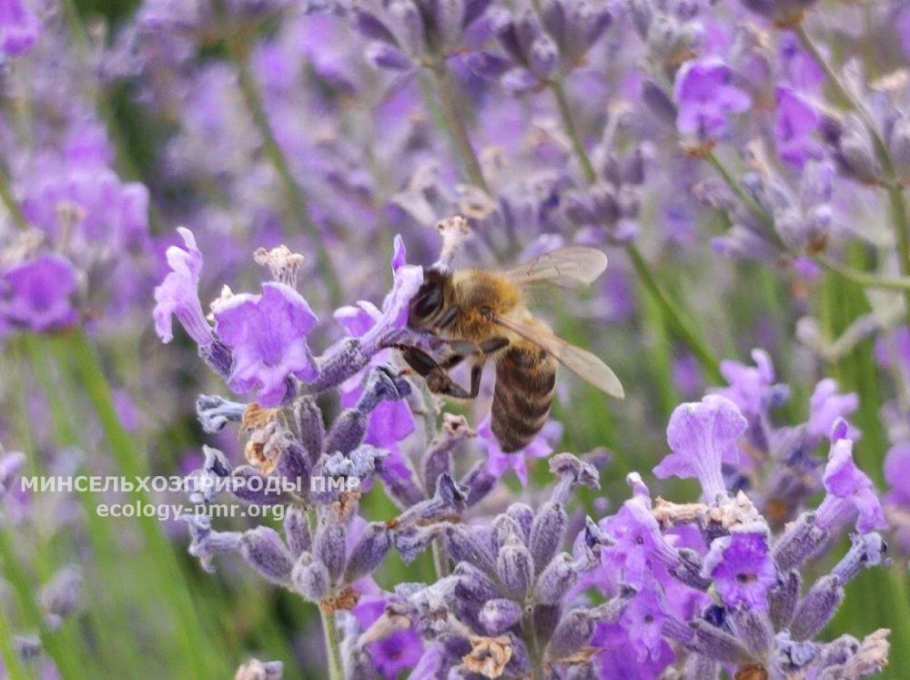 ��������� ���� ���� � 20 ���