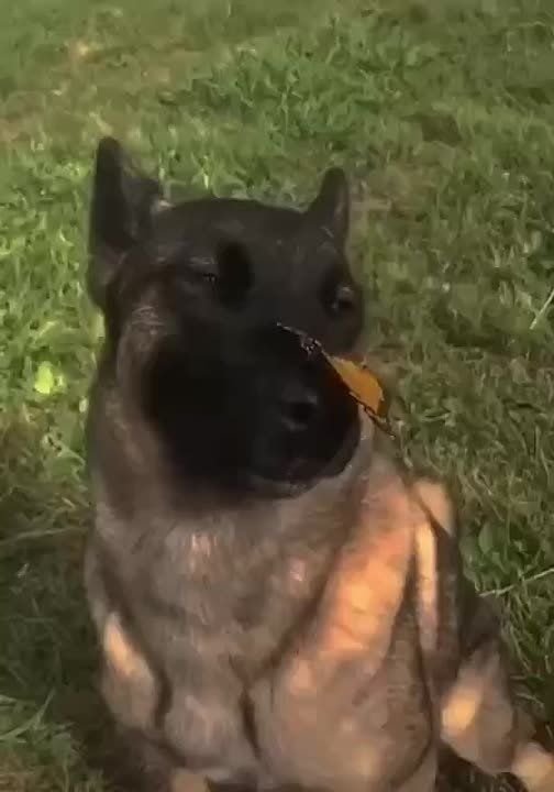 ��� ������ � ��������� ������ ������ �����