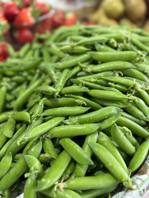 �� ������ ����� �������� ����� �� 150-160 ������ �� ���������