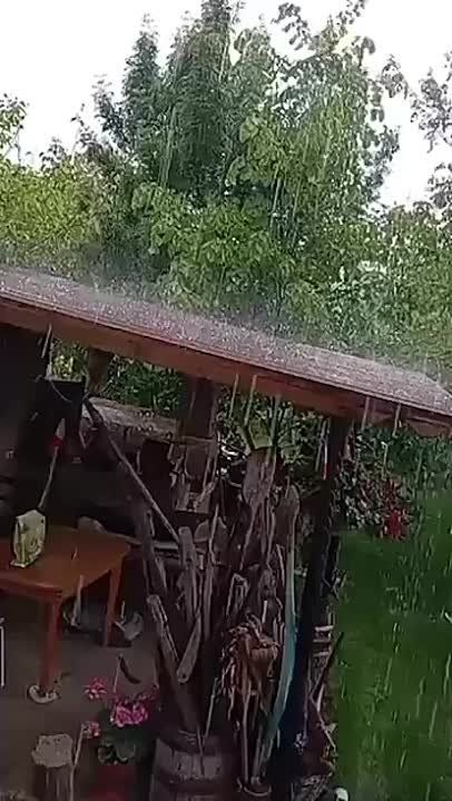 ������� ���� ����� ������ �������