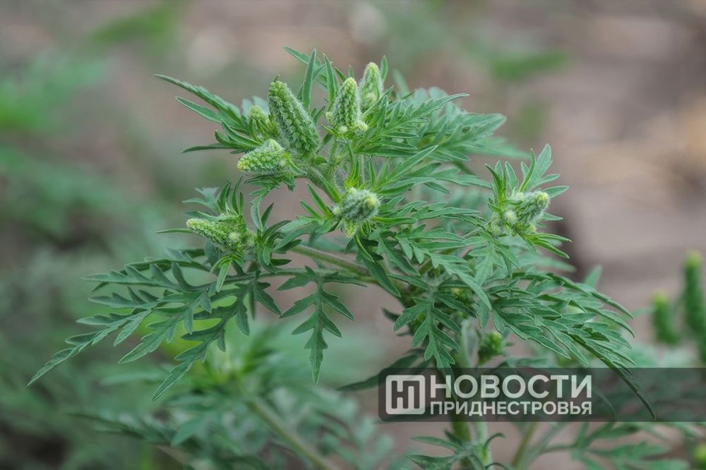 � ������������� ������� ����� ������ � ���������