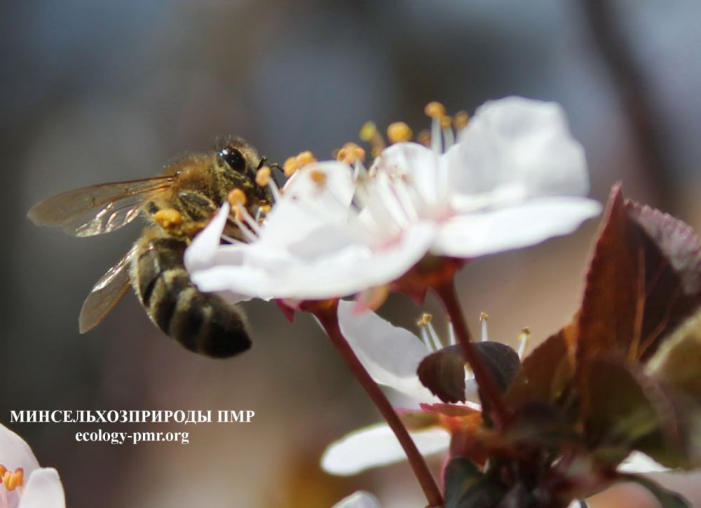 9 ���������� ������ �� ����� ����