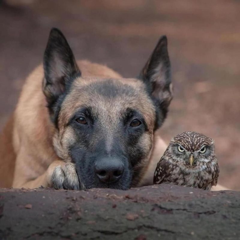 ������ ���: �������� �� �������� �������� ������ ���� � ������