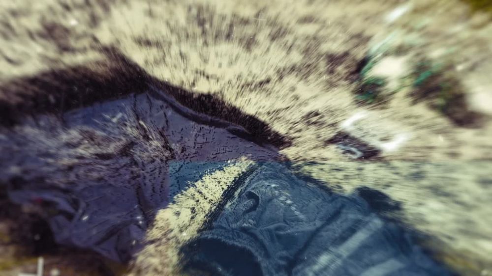 �������� � ���� - ������������!