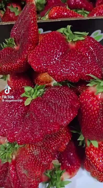 �� ����� �� ����� �������