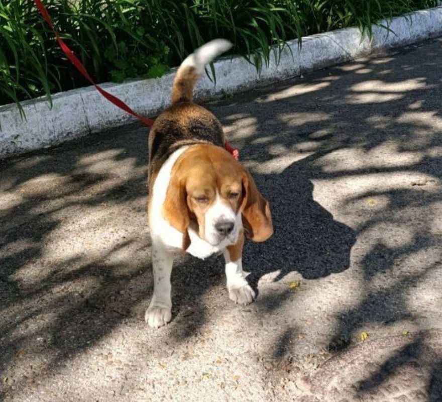 ������� ����� ����� � ���. ������ ���� �� ����� ����������