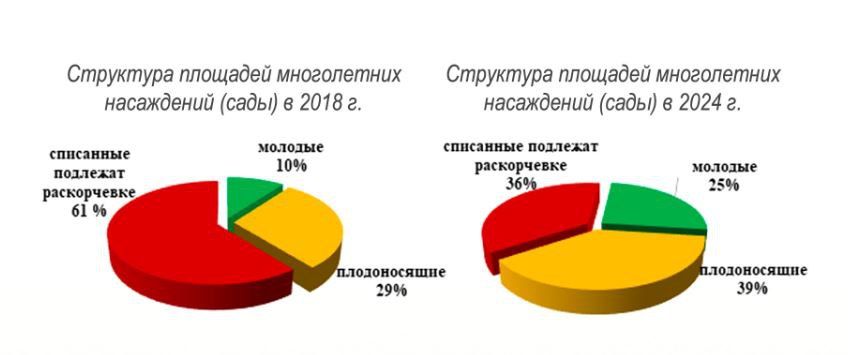 ������������ ����� � ������������� ����� ������ � ������ ������ ����� ���������� �����