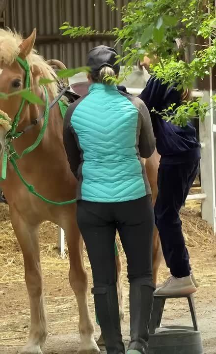 � ��������������� ����� ������ ������ ���� ������� ������