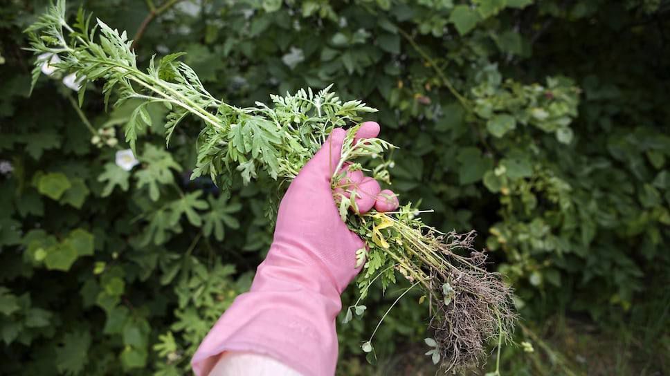 "�������� � ��������� ������"