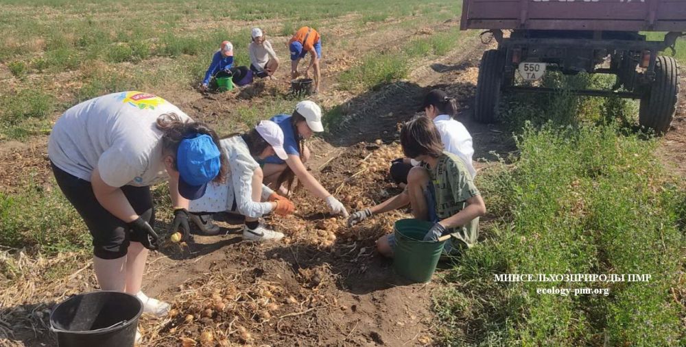 ��� ���� ���������� �� ������ ����������