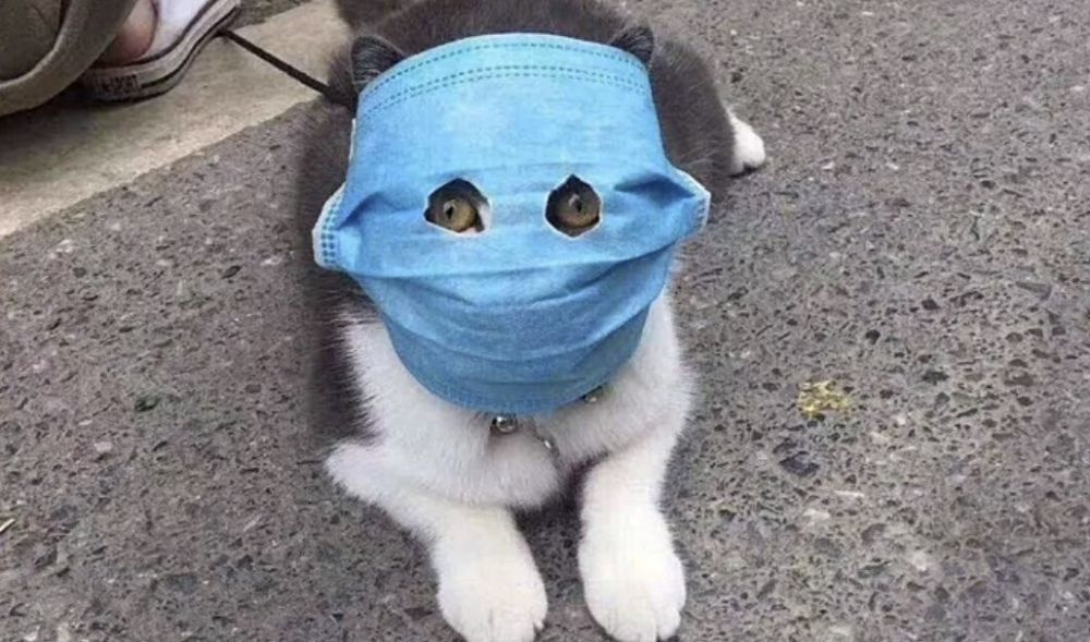 ���������� ����� ������������ � �������� ��������� ������