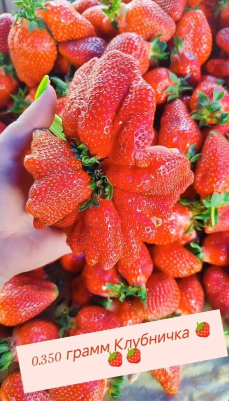 ��������������� ������� �������� ���������