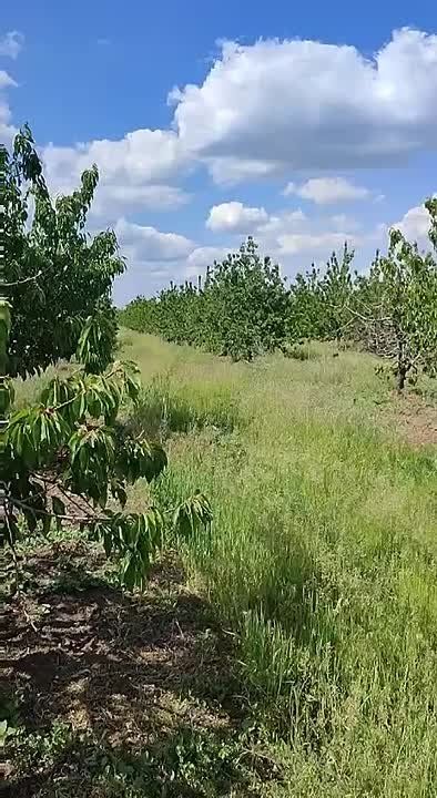 ���������� ��� ������� ��� ������� ��-�� ����������