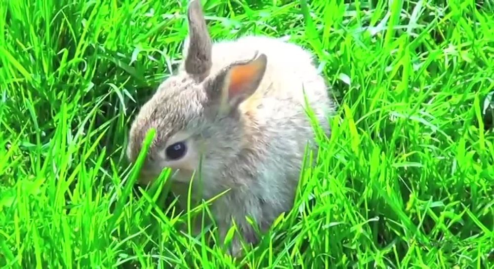 ��������������� ����� ������������ ��������� ������������� � �������� �� ��������� ����� �� �����, ������ ��� ��� ������ �������, ��� � ������ ��������