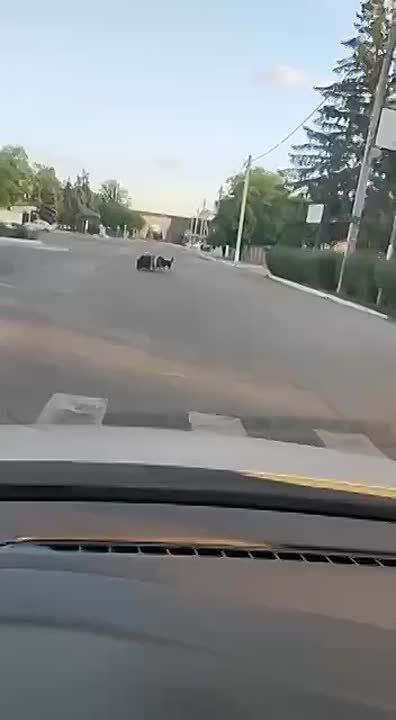 � �������� ����� ����� ������ ������� ������ � ������ ���������