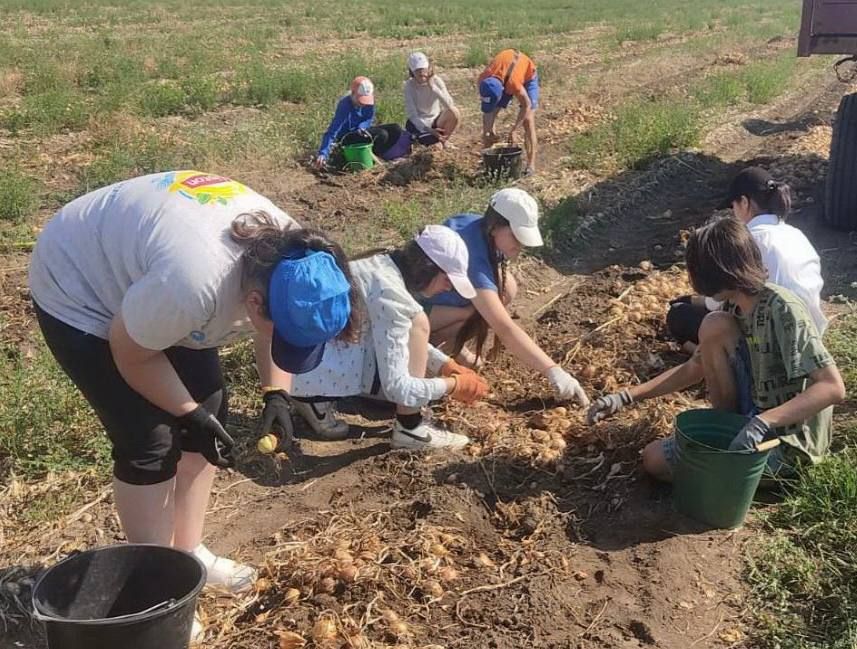 ������ ��� ���������� ���������� ��������������� ��� ��������� ���������