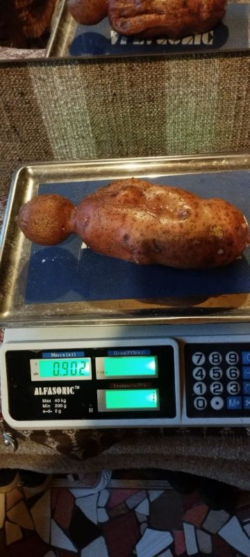 ������������� ���������� �� �����