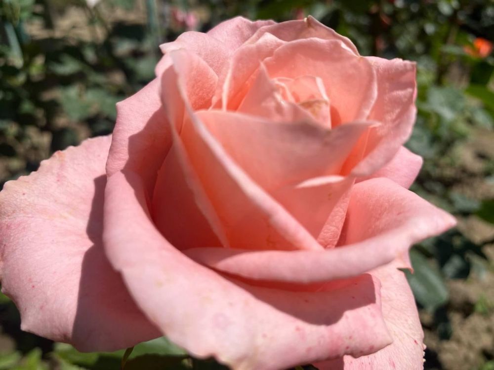 23 ��� ��������� ���������� ����������, ����� � ���� ������� ��������������� �����, �������� �����