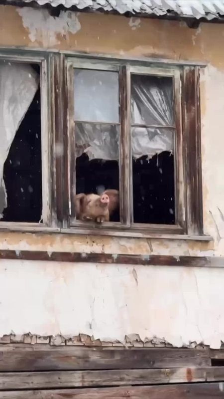 ������ ���: � ������ ������ �� ����� ������, ������� ���������� ��������� �����