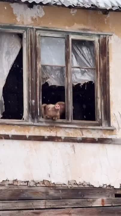 ������ �� ����� �����, �������������� ��������� �����, ��� ��� ������� � �������� ��������� ����� � ������ �����, ���� ������� �� �����