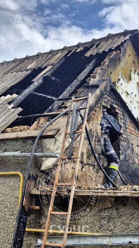 � �������� ������� ����� ���������� �������� ����